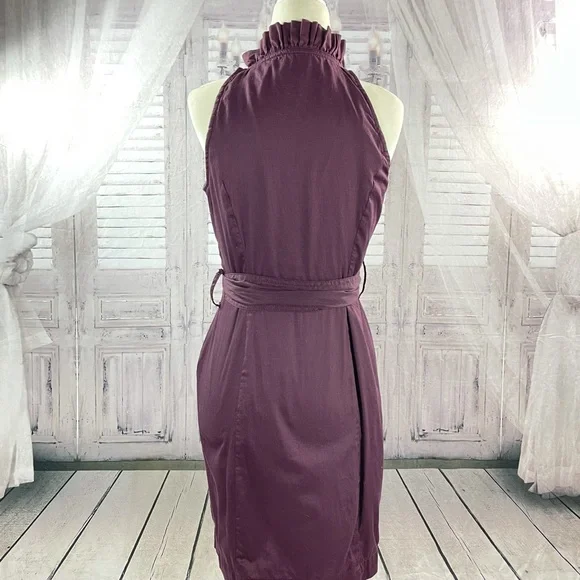 Ann Taylor Sleeveless Dress - Picture 3 of 6